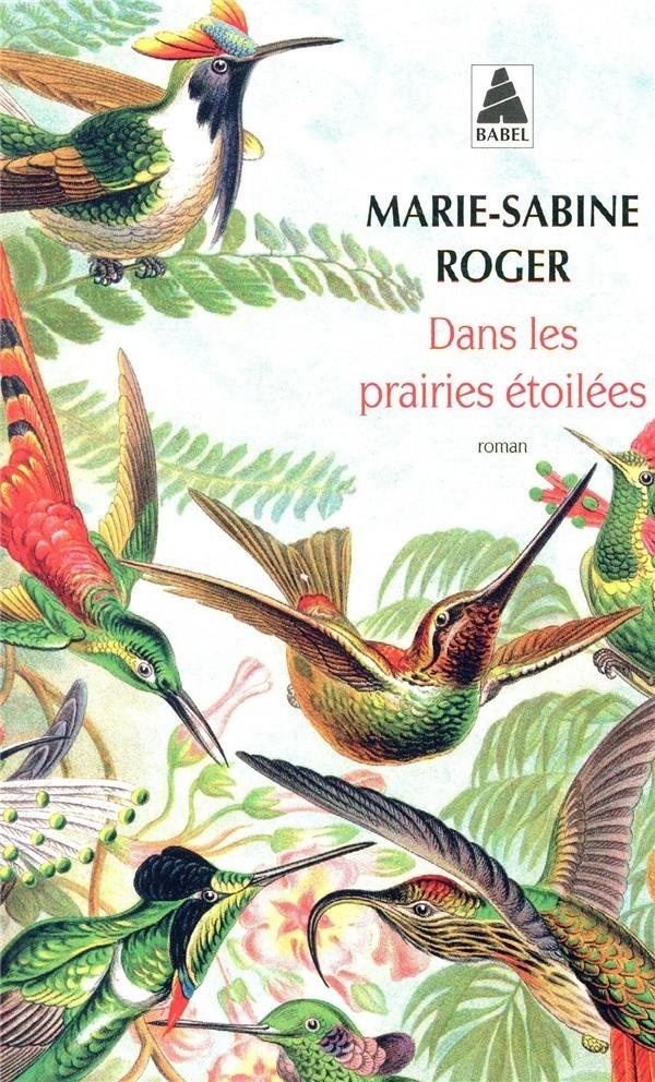 Dans les prairies étoilées