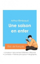 Réussir son Bac de français 2024 : Analyse du recueil Une saison en enfer de Rimbaud