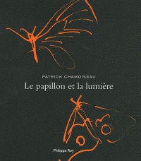 Le Papillon et la lumière