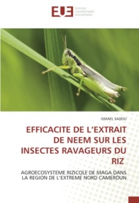 Efficacite de l’extrait de neem sur les insectes ravageurs du riz