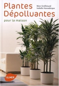 Plantes dépolluantes pour la maison