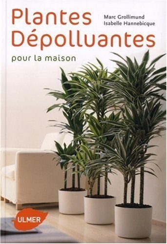Plantes dépolluantes pour la maison