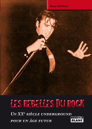 LES REBELLES DU ROCK Un XXe siècle underground pour un âge futur
