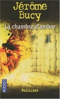 CHAMBRE D'AMBRE
