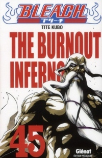 Bleach Vol.45