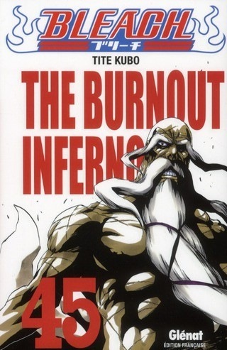 Bleach Vol.45