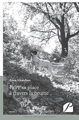 Faire sa place à travers la brume