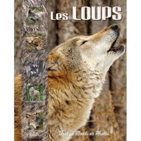 Les loups
