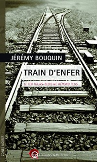 Train d'enfer : Le TER Tours-Blois ne répond plus...