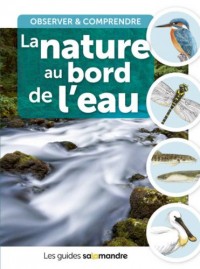 La nature au bord de l'eau