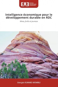 Intelligence économique pour le développement durable en RDC: Mines, forêts et jeunesse