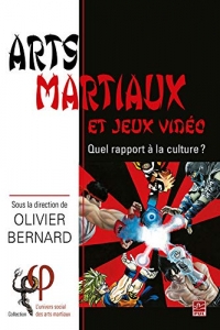 Arts Martiaux et Jeux Video : Quel Rapport a la Culture ?