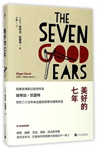 The Seven Good Years (Chinese Edition)