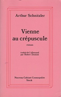 Vienne au crépuscule