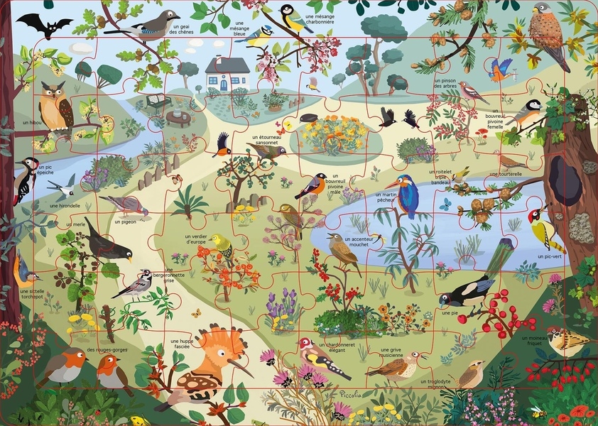 Les oiseaux / puzzle