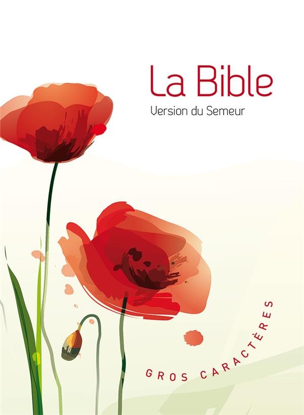 La Bible Version Semeur, avec gros caractères, Couverture toile semi-souple illustrée: La Bible Version Semeur, avec gros caractères, Couverture semi-souple illustrée