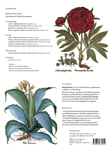 Herbier des quatre saisons mini