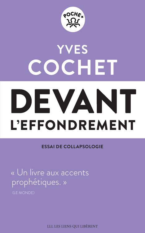 Devant l'effondrement: Essai de collapsologie