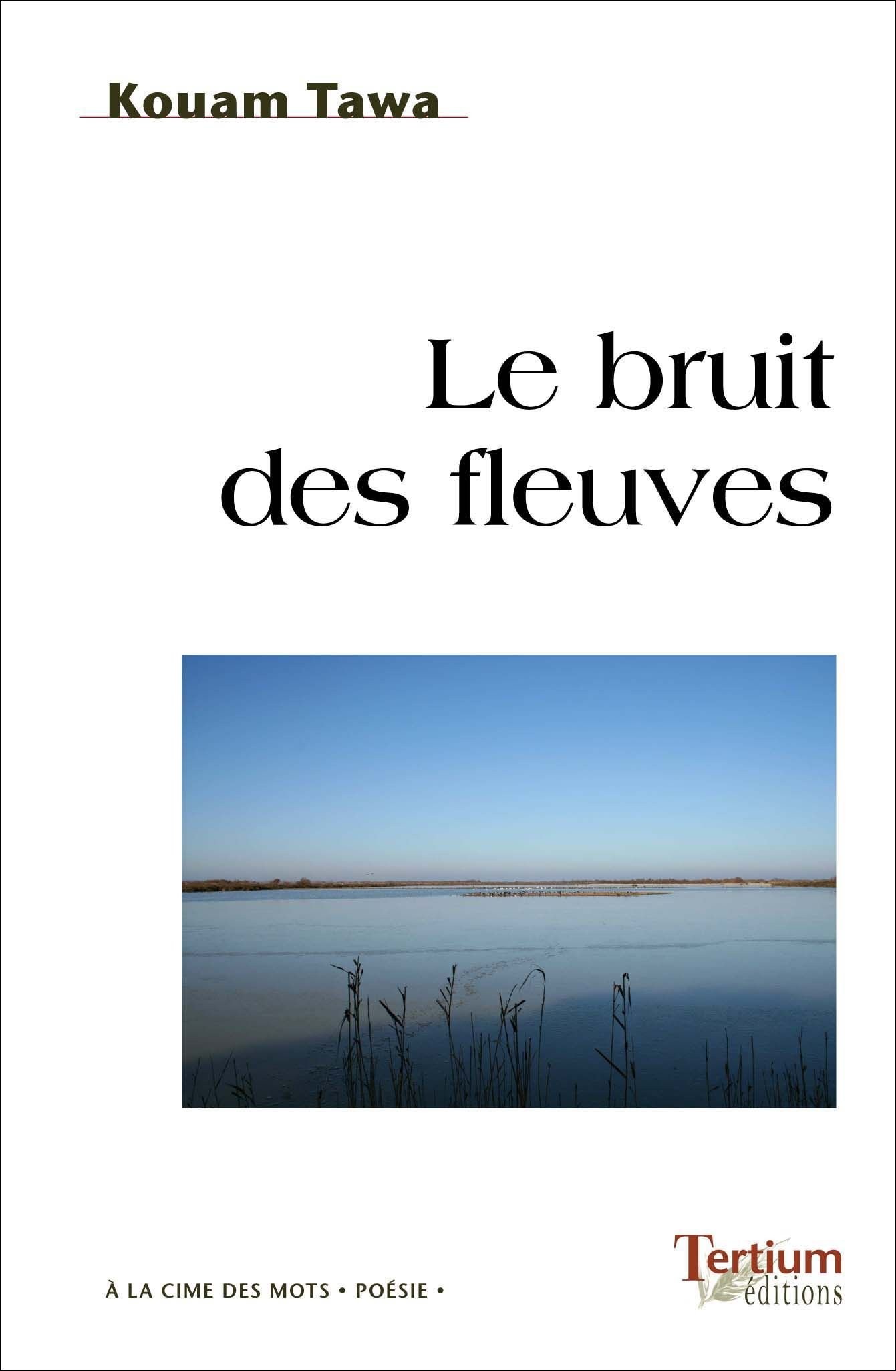 Le bruit des fleuves