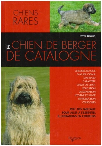 Le chien de berger de Catalogne