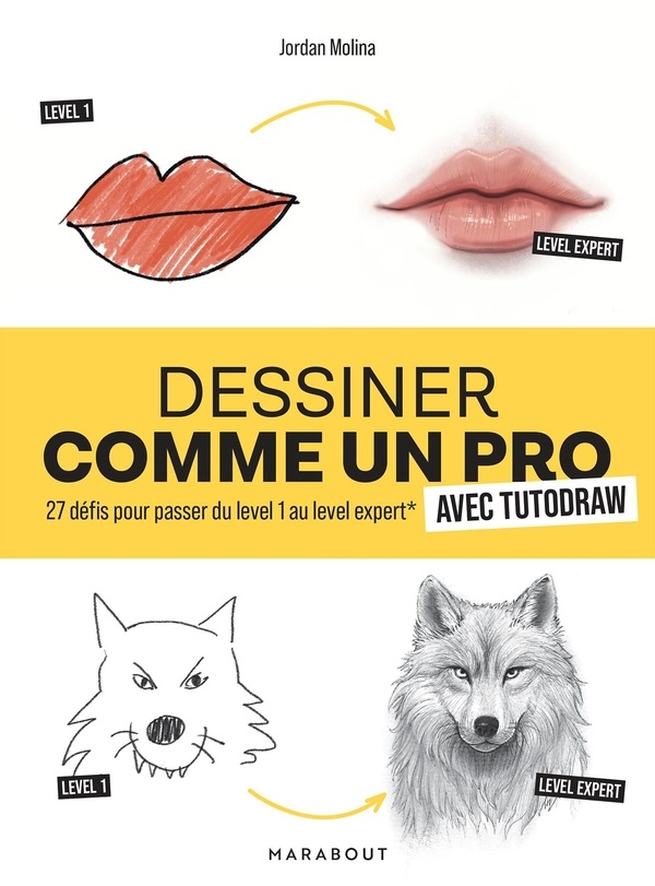 Je dessine comme un pro: Tutodraw