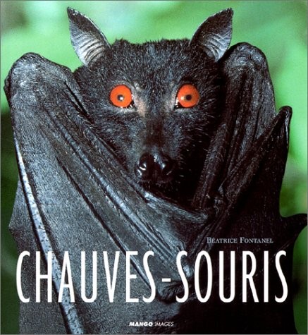 Chauve-souris