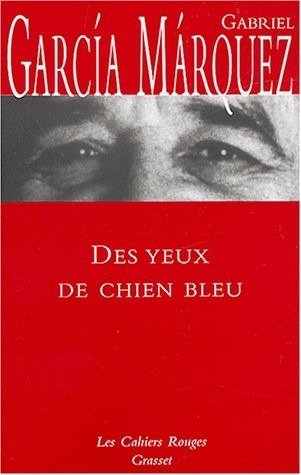 Des yeux de chien bleu