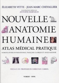 Nouvelle anatomie humaine : Atlas médical pratique