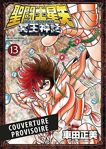 Saint Seiya Next Dimension T13