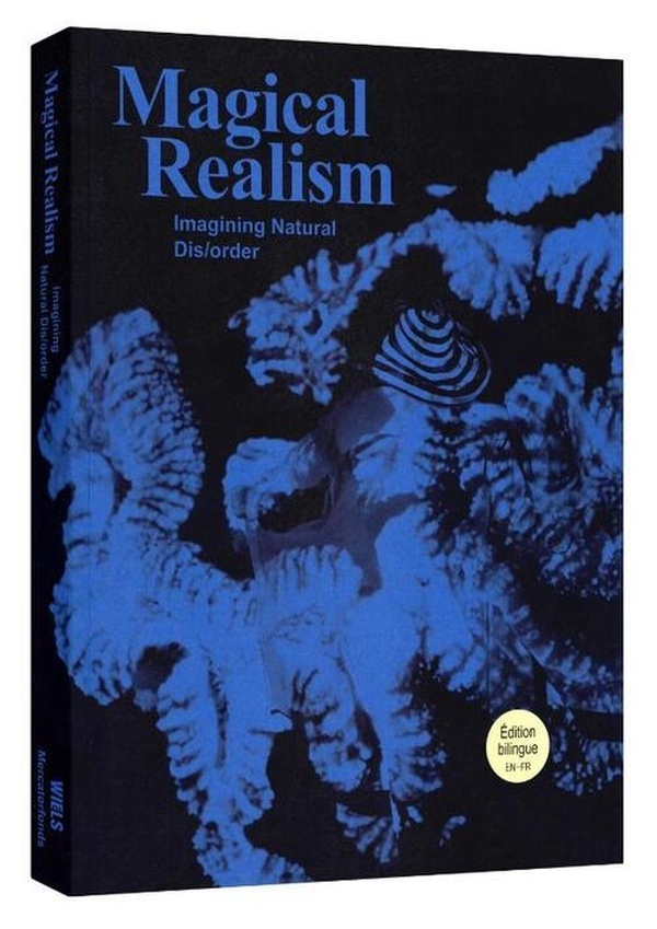 Réalisme magique: Imaginer la nature en dés/ordre