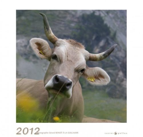 Calendrier 2012 Fous de Vaches