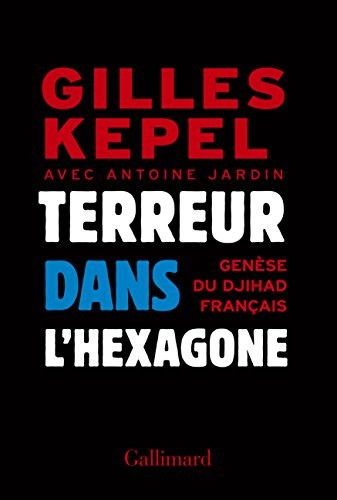 Terreur dans l'Hexagone: Genèse du djihad français