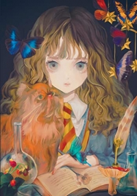 Harry Potter : carnet Hermione Granger