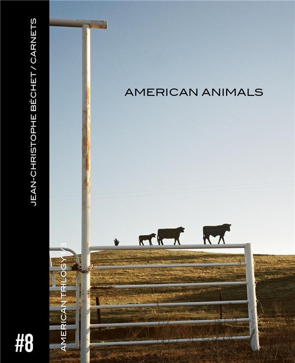 Carnet #8 : American animals