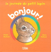 La journée du petit lapin