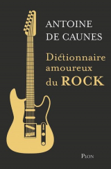 Dictionnaire amoureux du rock