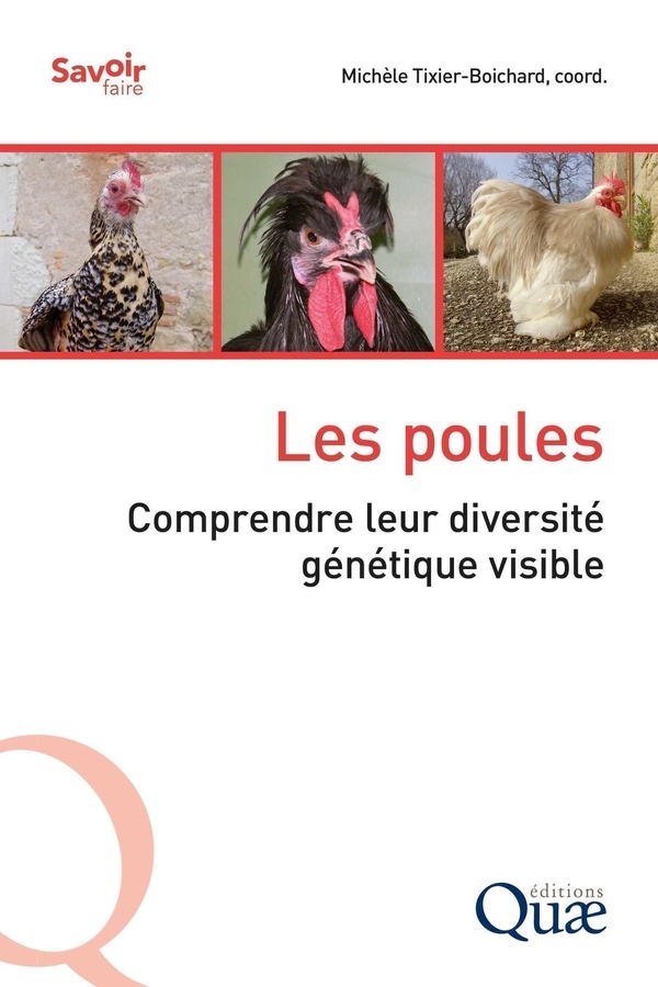 Les poules: Comprendre leur diversité génétique