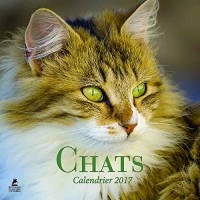 Chats calendrier 2017