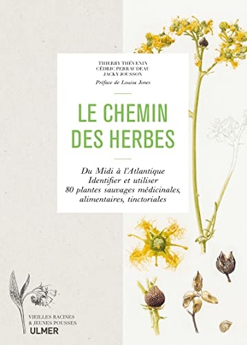 Le chemin des herbes - Du Midi à l'Atlantique : identifier et utiliser 80 plantes sauvages médicinal