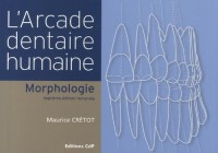 L'arcade dentaire humaine : Morphologie