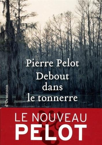 Debout dans le tonnerre