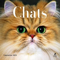 Calendrier Chats - Calendrier 2023