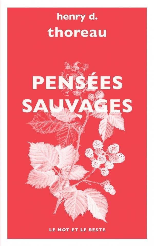Pensées sauvages