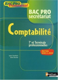 COMPTABILITE BAC PRO SEC BPT