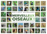 Les plus beaux oiseaux du monde