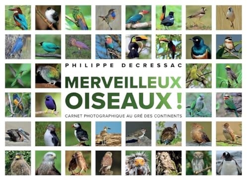 Les plus beaux oiseaux du monde