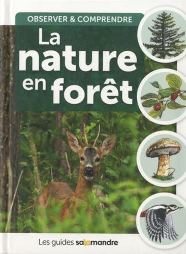 La Nature en forêt
