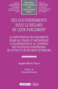 Des gouvernements sous le regard de leur parlement: La participation des parlements francais, italien et britannique à l'élaboration et au contrôle ... de justice et de sécurité intérieure