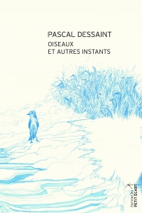 Oiseaux et autres instants