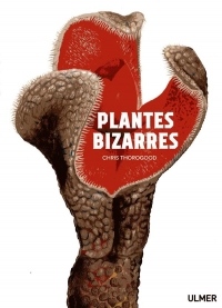 Plantes bizarres